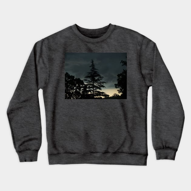 Stormy Crewneck Sweatshirt by BenjiRetroWave